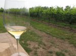 Local organic wine