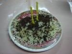 Pisang Keju Coklat (Bananas with Cheese and Chocolate)