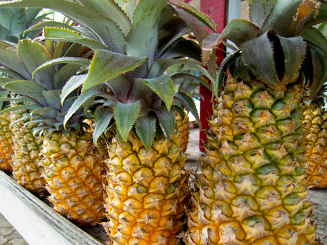 Pineapple stand, Antigua