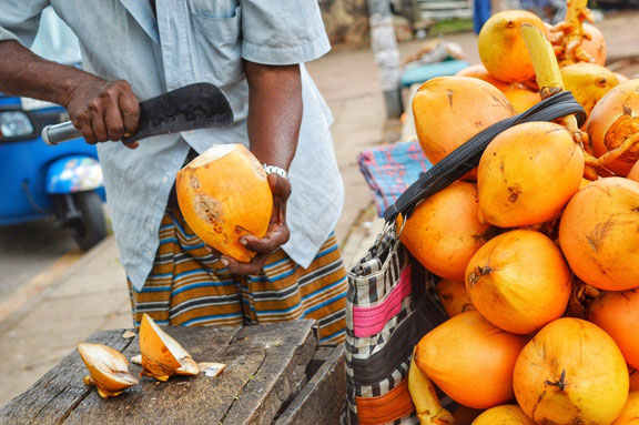 Orange-hued king coconuts in Colombo, Sri Lanka