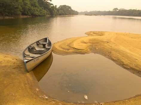 A canoe on the Moa River just off Tiwai Island, Sierra Leone