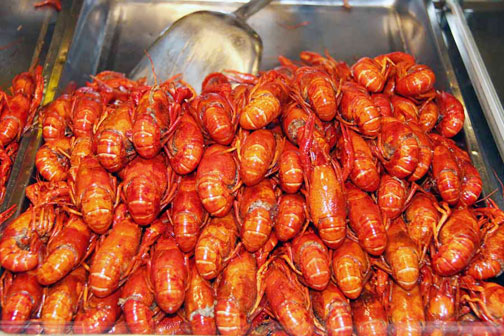 Crayfish in Shanghai, China