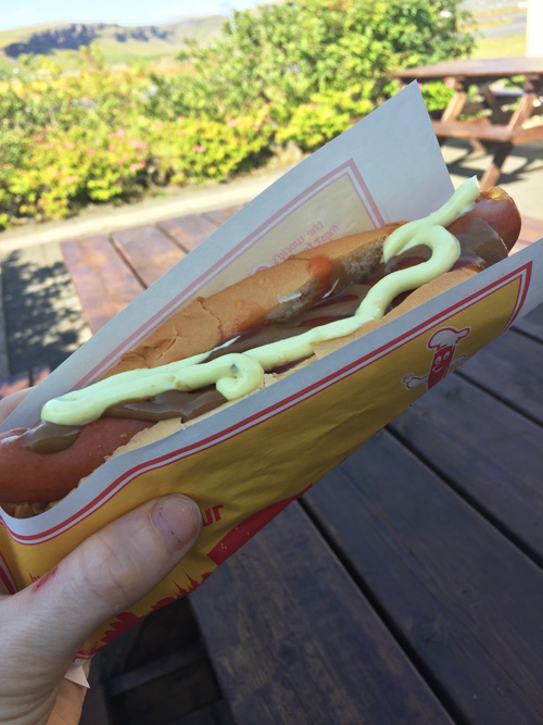 Pylsa, an Icelandic hot dog, dressed with onions, ketchup, mustard and remoulade