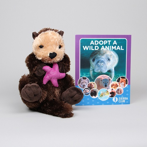 Stuffed plush sea otter by Sierra Club