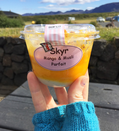 A container of skyr in a woman's hand in Iceland
