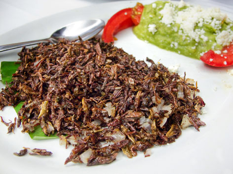 Chapulines, or fried grasshoppers, from Casa de la Abuela in Oaxaca, Mexico.