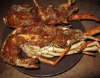 Local spiny lobster