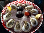 Sippewissett Oysters