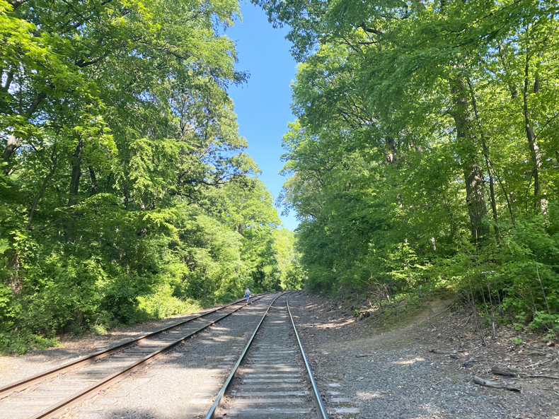Old Montauk branch railroad tracks that cut through Forest Park, Queens