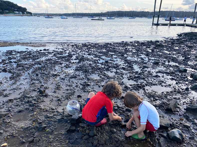 Kids crouch looking for crabs on Mercadente Beach in Long Island