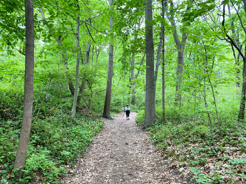Boy hiking in forest at Sands Point Preserve in Long Island, NY