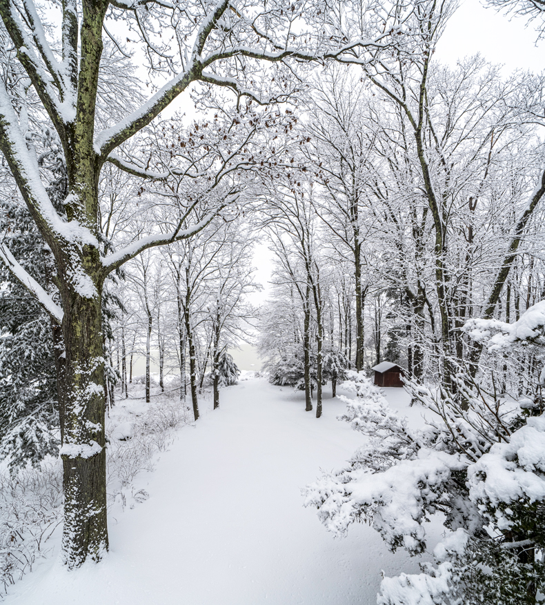 A snowy wooded trail in the Sullivan Catskills, New York