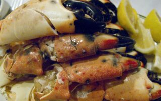 Florida stone crab claws from Joe's Stone Crab in Miami, Florida