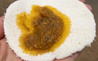 A piece of fried cassava bread with gravy from Waterloo market in Sierra Leone.
