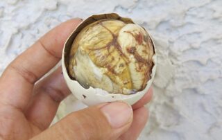 A balut duck egg from Manila in the Philippines.