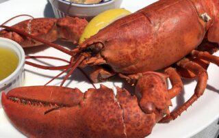 Whole lobster with butter and lemon from a restaurant on the South Shore of Nova Scotia
