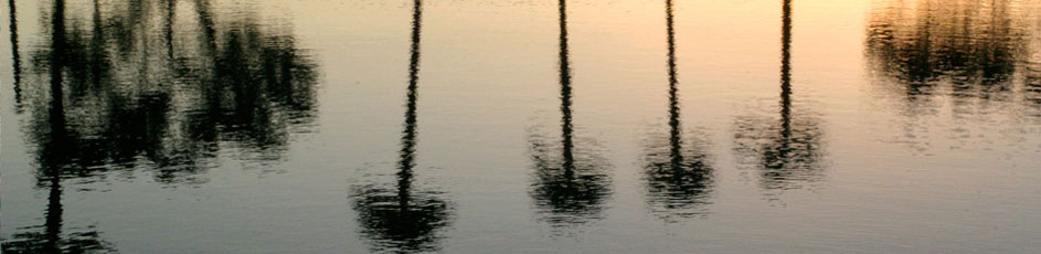 Reflection, Lake Worth