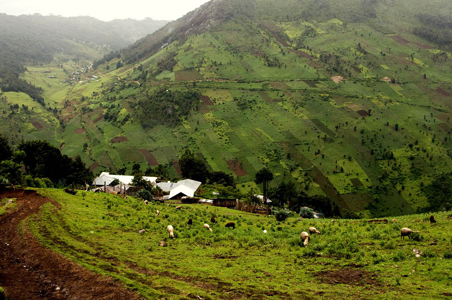 Mountain vista in Guatemala showing a patchwork of fields on a hillside