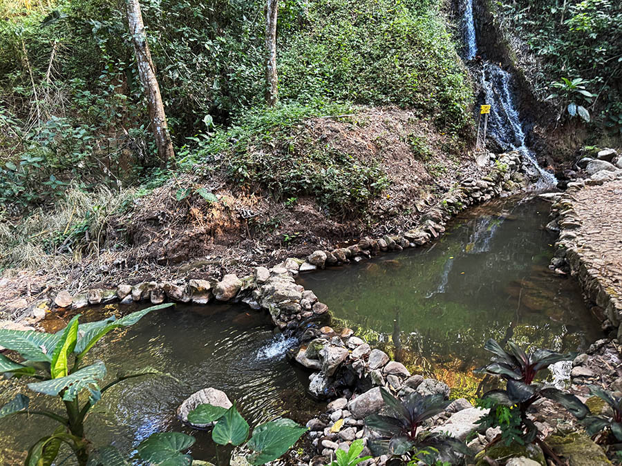 Two of the natural thermal hot pools, situated among the trees, at Alicante hot springs in El Salvador